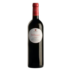 VINO TINTO MAS D'EN GIL BELLMUNT VI DE VILA 2015 